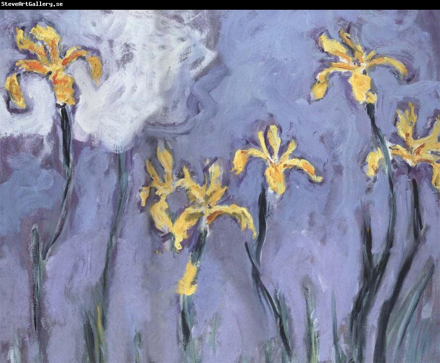Claude Monet Yellow Irises with Pink Cloud